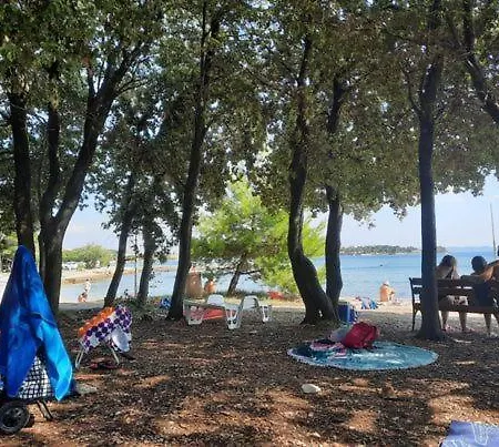 Summer Touch Petrcane
