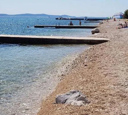 Summer Touch Petrcane